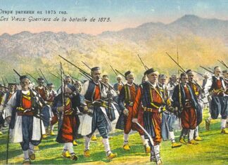 Саша Недељковић: Добровољачка педесетогодишњица у Београду 1925.