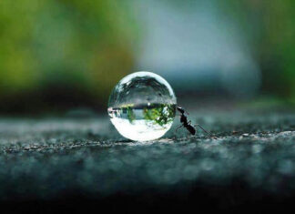 Др Владимир Ђурић: Самодисциплина