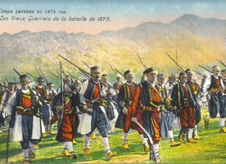 Саша Недељковић: Добровољачка педесетогодишњица у Београду 1925.