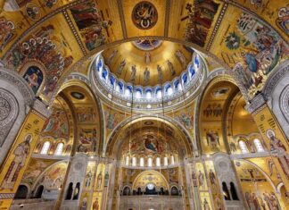 Др Јован Јањић: Достојанство личности