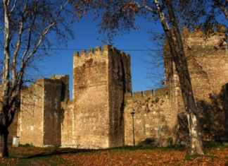 КАКО ЈЕ НАЈЛЕПШИ СРПСКИ ПСАЛТИР ПОСТАО МИНХЕНСКИ