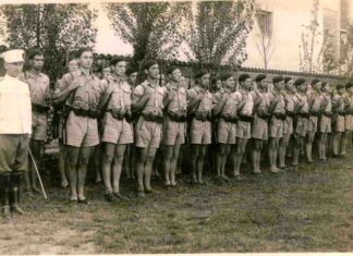 Саша Недељковић: Соколи у међуратном периоду