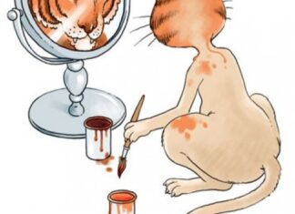 Др Зоран Миливојевић: Слика о себи