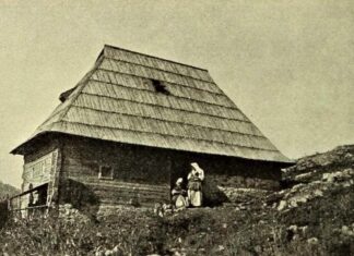 Милица Миленковић: КУЋА