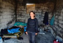 Срећко Алексић: Ове су ноћи хладне Господе