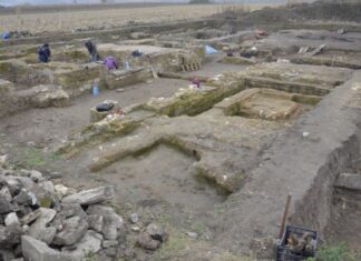 Српски Археолошки институт и водећи амерички универзитет почињу светски ДНК пројекат