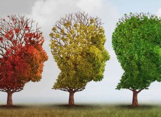 Ђакон Ненад Вујасиновић: Православна психотерапија као одговор на епидемију психичких поремећаја и обољења