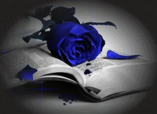 Јелена Асенов: Плава ружа