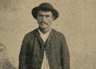 НАЈВЕЋИ ЛОПОВ КРАЈЕМ 19. ВЕКА – Вујица Новица Грујић