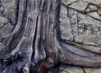 Најбоља заштита од нарциса – будите незанимљиви као „сива стена“