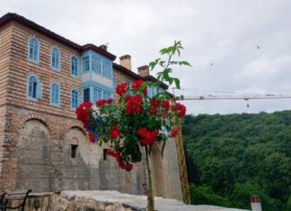 Рошови – прогнане патриоте