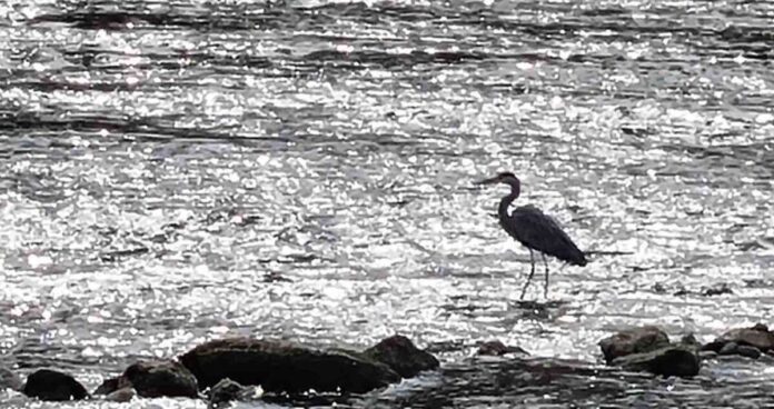 viber_image_2023-10-19_19-42-00-512