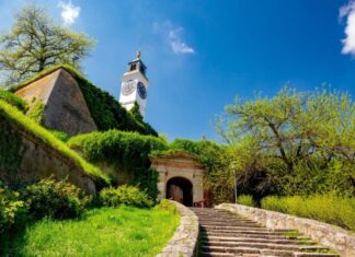 Тајне гарнизона Петроварадинске тврђаве – Слободна стрељачка компанија