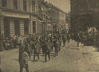 Саша Недељковић: Соколски прегалац Стево Жакула