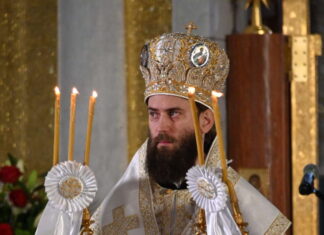 Епископ Петар (Богдановић): Бог није тај који насилно жели да уђе у наш живот