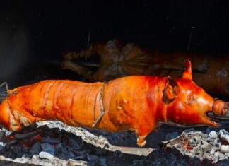 Јефрем Метс: Зашто је Богу битно шта ја једем?