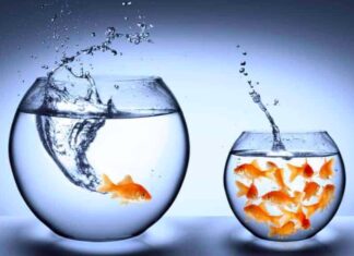 Зашто је зона комфора некомфорна?