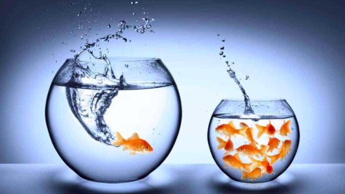 Screen Shot 2024-05-03 at 21.29.12