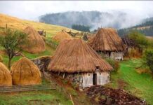 Тода Матић Медић: ДУХОВИ ПРОШЛОСТИ