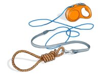 Др Зоран Миливојевић: Мучење животиња