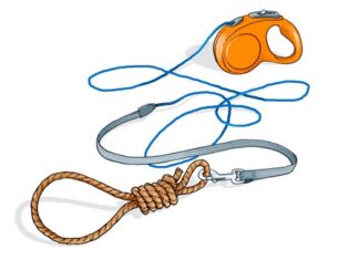 Др Зоран Миливојевић: Мучење животиња