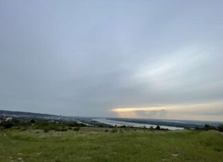 Уништавање једне од последњих зелених оаза Београда