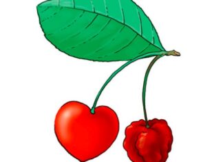 Др Зоран Миливојевић: Љубомора у позним годинама