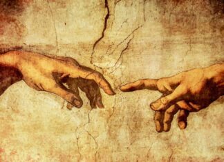 Јелена Грбић: УТОЧИШТЕ