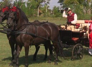 Ђока Филиповић: МИЛОРАД И ЈЕЛЕНА