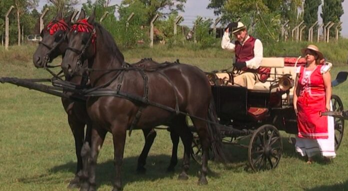 Screen Shot 2024-07-20 at 07.12.30