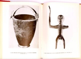 Етнолог Младен Милосављевић: Колевка Београда је на Роспи Ћуприји