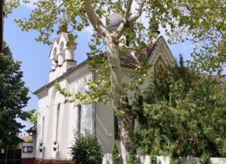 Душан Опачић: Руси у Белој Цркви