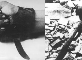 Милош Лалатовић: Преживљавање (девети део)