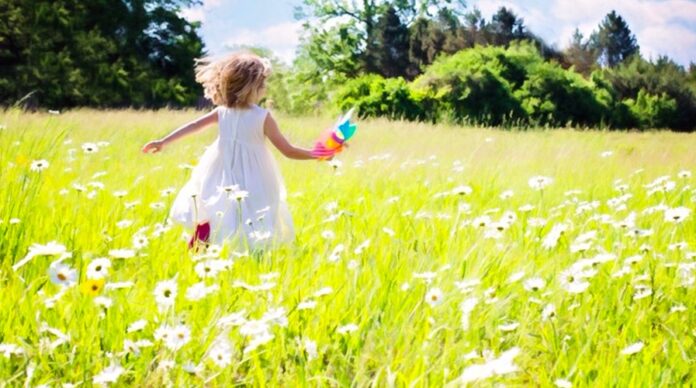 Screen Shot 2024-10-18 at 09.13.40