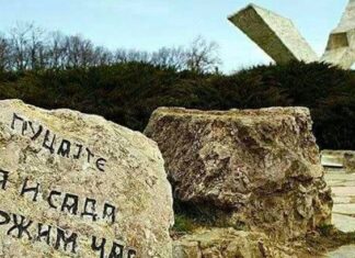 Саша Маринковић: Шумарице