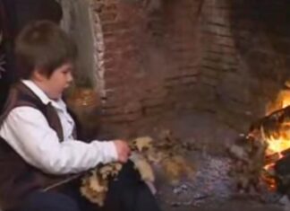 Десанка Максимовић: ПОЛОЖАЈНИК