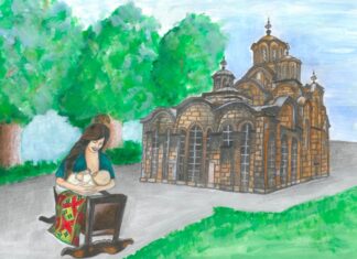 Бранко Живковић: ГРАЧАНИЦА