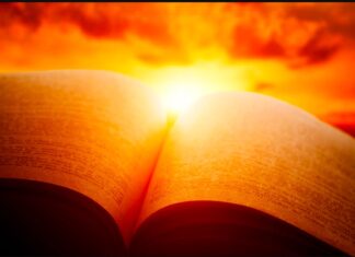 Твој живот – твоја одлука