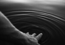 Добре стране животних криза