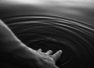 Добре стране животних криза