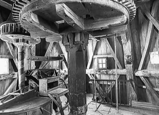 Мирослав Стефановић: Дивови и без Дон Кихота