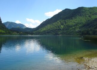 Оливера Синђелић: СРЕБРНО ЈЕЗЕРО