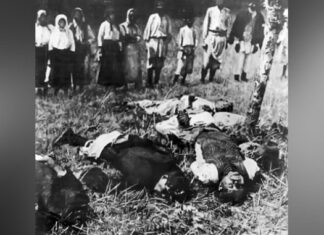 Бранко Пејовић: Странци ужаснути злоделима окупатора