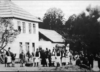 Бранко Пејовић: Миш је појео капетаново уво