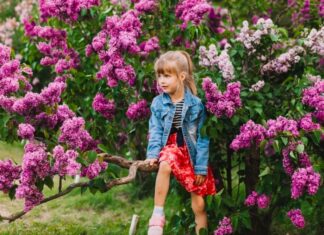 Тода Матић Медић: САМОЋА