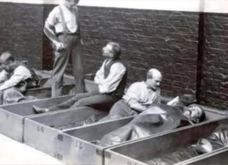 Социјални инжењеринг у Викторијанској Енглеској