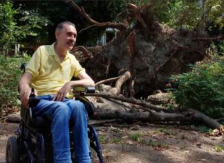 Стеван Петковић: Тајна искорака