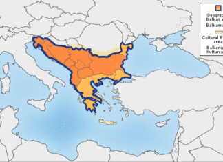 Проф. др Радана Лукајић: Нека „друга“ књижевност