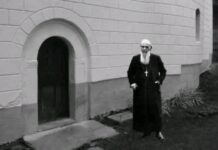 Милош Димић: Перо Светог Владике Николаја