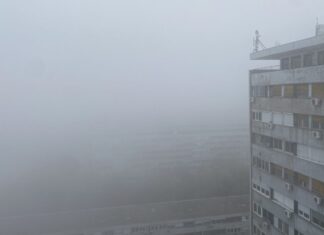 Проф. др Радана Лукајић: По магли се познаје ноћ, дан, јутро